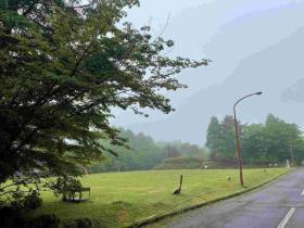 20230523　別荘地内で霧（3）