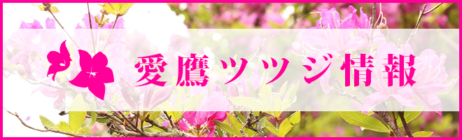 愛鷹（あしたか）ツツジ情報