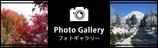 フォトギャラリー